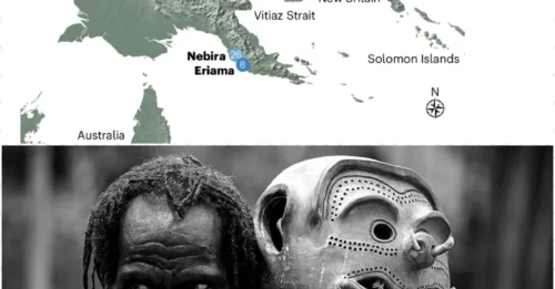 Not a Pure Native? DNA Analysis Uncovers Shocking Truth About Papua New Guinea!