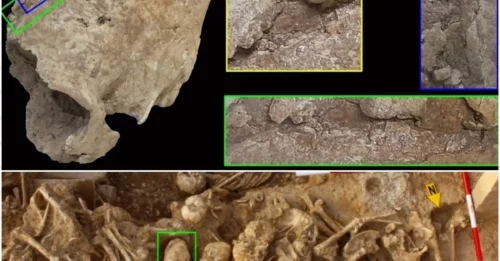 A 6,200-year-old 'cone-headed' skull in Iran was smashed — and the truth behind it has left scientists stunned!