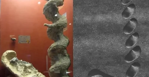 Nebraska's Ancient Secret: The Devil's Corkscrews – 20-Million-Year-Old Giant Spiral Fortresses Hidden Deep Underground