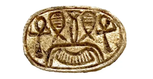 A 3,000-Year-Old Secret Unearthed: Ultra-Rare Tombs in Dromolaxia Reveal an Unbelievable Treasure from the Late Bronze Age!
