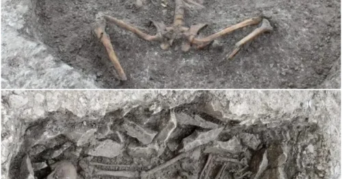 Iron Age Human Sacrifices Uncovered in Archaeological Excavation