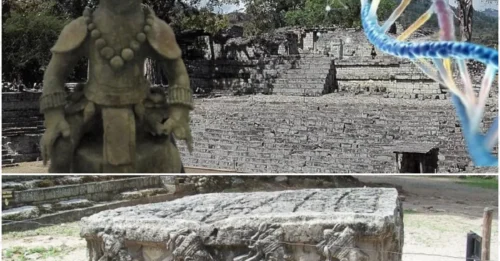 Decoding Copán's ancient DNA uncovers the shocking reason the Maya vanished overnight