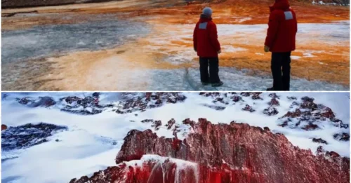 For hundreds of years considered a curse, the 'Blood Falls' is actually evidence of a bizarre ecosystem hidden deep beneath the ice.