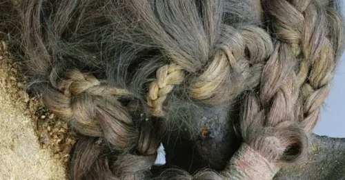 MUMMY'S HAIR MYSTERY: Scientists Baffled by Century-Defying Braids - What Kept Them So Perfect?