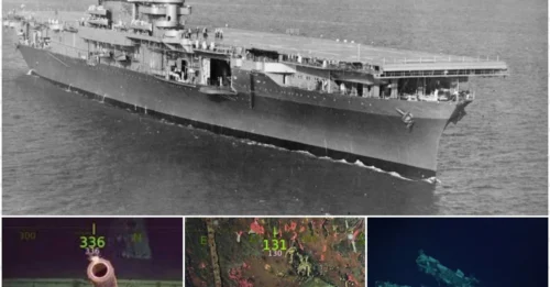 Not a legend! The USS Hornet – the World War II 'monster' – has just been discovered in the abyss at 17,500 feet deep!