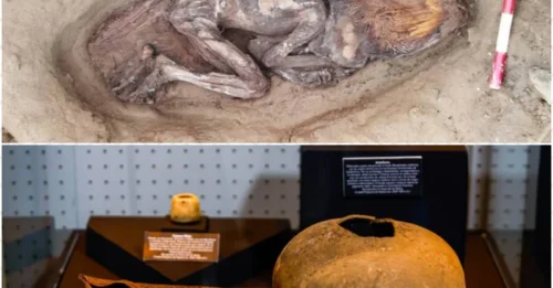5,000-Year-Old Elite Woman Found in Peru – Buried With a Mysterious Toucan’s Beak!