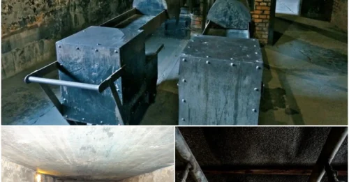 The most efficient mass killing machine in history - 'mass processing' in a sealed chamber takes only 20 minutes?