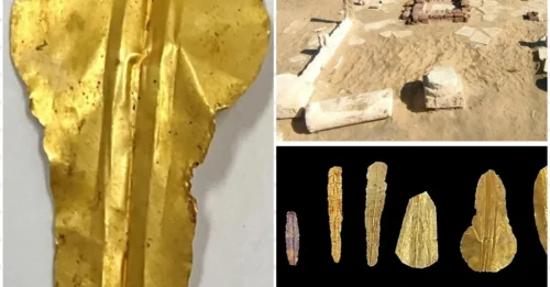 Spine-Chilling Discovery: 13 Egyptian Mummies Found with Golden Tongues – Unveiling the Secret Behind the Deadly Ritual