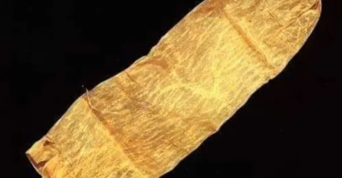 380-Year-Old Pig Intestine Condom Found - Complete With Bizarre Milk Instructions!
