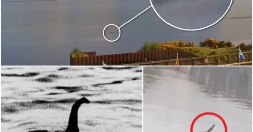Loch Ness Monster no longer alone? A surprise appearance of a “juvenile” sparks shocking rumors!