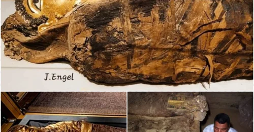 Beneath the glittering layer of gold, the mummy of Lady Isaious unveils a terrifying secret about her journey to the afterlife!
