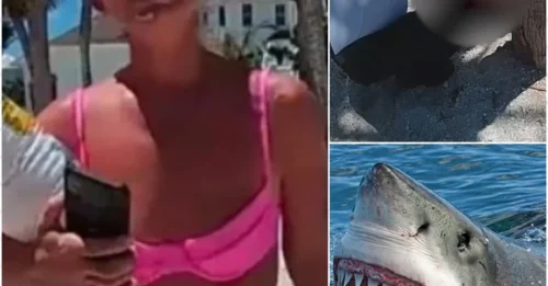 Shark Attack: A 9-Year-Old Girl Nearly Loses Hand in Horrific Shark Attack in Florida!