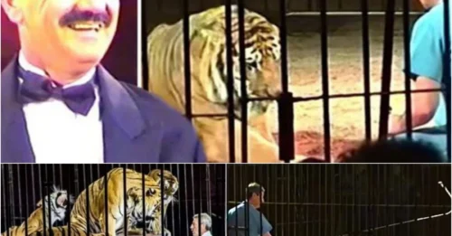 World's Top Animal Trainer Mauled To Death By 4 Pet Tigers - Colleagues Watched Helplessly For 30 Minutes!
