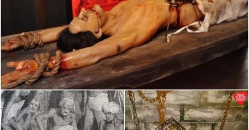 Rat Torture - The cruelty of humanity is revealed through starving rats and unimaginable pain.