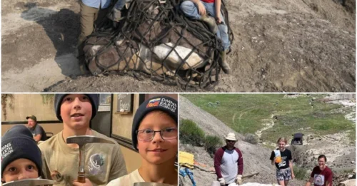 Three North Dakota boys stumbled upon a 65-million-year-old secret—a T. Rex skeleton—on what was supposed to be an ordinary hike