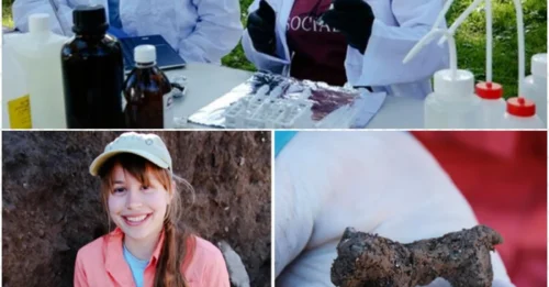 Not just a legend! Student proves Ziklag existed with artifacts that stunned archaeologists!