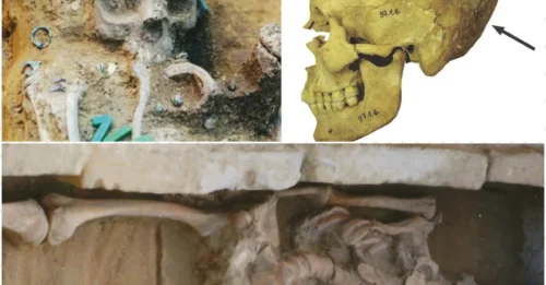 The Cemetery of Elongated Skulls Reveals the Horrific Chaos of the Post-Roman Empire Era