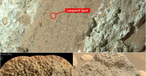 No longer science fiction: NASA’s robot encounters what could be undeniable evidence of fossilized life on the Red Planet!