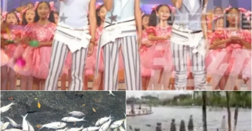 Nature's Bizarre Tragedy: Hundreds of Carp Commit Mass Suicide Over Singing Contest