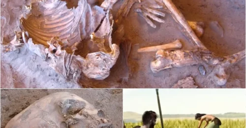 Ancient Tribe ‘Lost to History’ Discovered in the Heart of the Sahara!