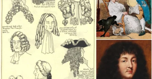 1,000 Wigs of Louis XIV Weren't Just for Beauty—The Truth Behind Them Will Shock You!