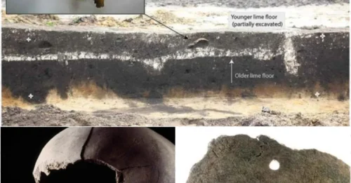 The Vikings buried deformed skulls and infants right beneath their homes!