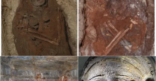 Terrifying Discovery at Saqqara: Ancient Tomb Reveals Statue of the Serpent Goddess and the Dark Secrets of the Embalmers!