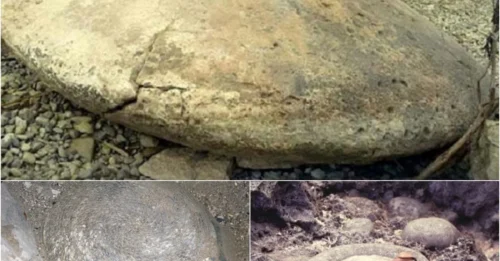 Russian archaeologists have just uncovered a series of ancient, intricately carved discs near Volgograd — but what lies within these strange engravings could change history forever.