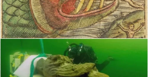 Ancient monster revived? Mysterious creature discovered in the king's ship sends shockwaves through the archaeology world!