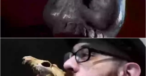 THE WORLD'S MOST TERRIFYING SOUND: This Nightmare Frequency Will HAUNT You Forever