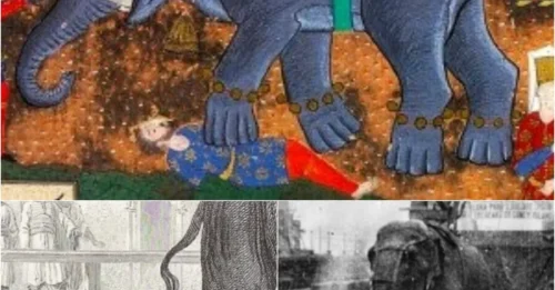 Hidden History: Elephants Were Once Used in Strange and Harsh Forms of Ancient Justice