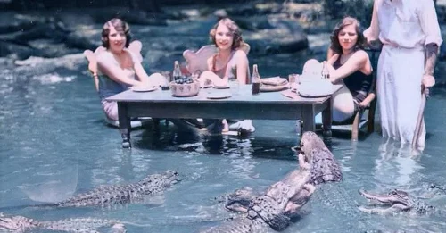 CRAZY BUT TRUE: California's 1907-1953 Alligator Picnic Farm Where Tourists Paid 25¢ to Dine With Predators!