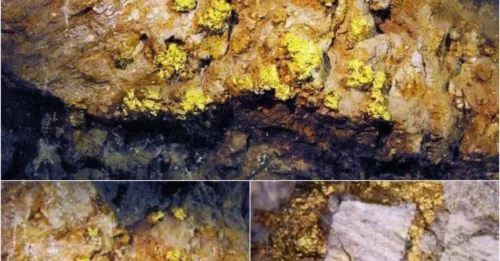 EARTH'S GOLD MOTHERLODE REVEALED: The Shocking Location Holding 99.999% of World's Gold!