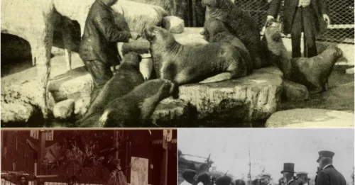 HUMAN ZOO HORROR: The Dark Truth About the Father of Modern Zoos Will Shock You!