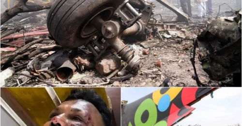Plane Shattered, Yet They Lived: 3 Miraculous Survival Stories in Aviation Disasters Over the Past 20 Years