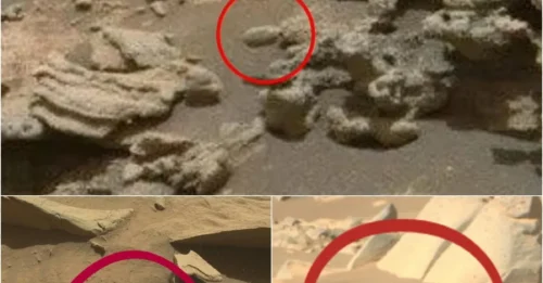 Scientists Shocked by Discovery of UFO-Like Object in NASA's Mars Photo!