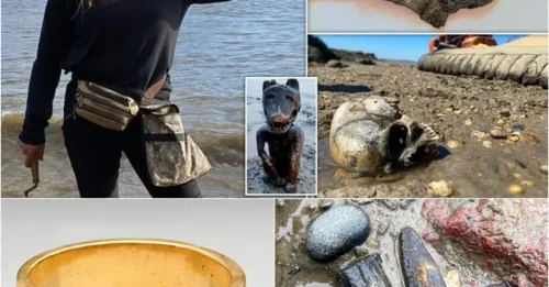 Amateur treasure hunters, brace yourselves! The Thames is about to spill its secrets—the banned mudlarking permits are BACK after 2 years of silence!