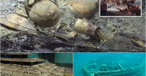 Controversial treasure-hunting group claims to have discovered 'oceanic horror' – chilling details revealed about a cursed pirate shipwreck.