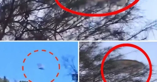 AMAZING DISCOVERY: Sharpest UFO Image Ever Captured!