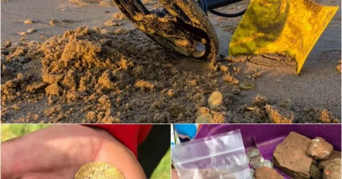 These 3 Tiny Medieval Coins Found in a Field Are Worth More Than a Luxury Car!