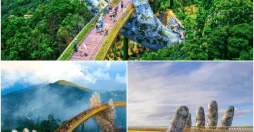 The Golden Bridge - A bridge seemingly cradled by giant hands amidst the clouds, shimmering like pure gold under the sunlight - leaves everyone exclaiming: UNBELIEVABLE