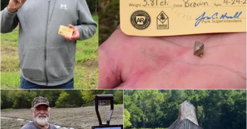 Thousands Of People Visit A Park In The U.S. To Dig For Diamonds, Easily Earning Thousands Of USD.