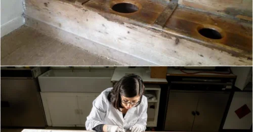 Three-seater Throne of the Middle Ages: The Bizarre Toilet That Signified a Status Higher Than Kings