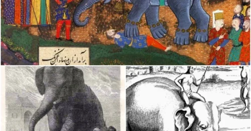 Execution by Elephant: War elephants were not only battlefield weapons but also 