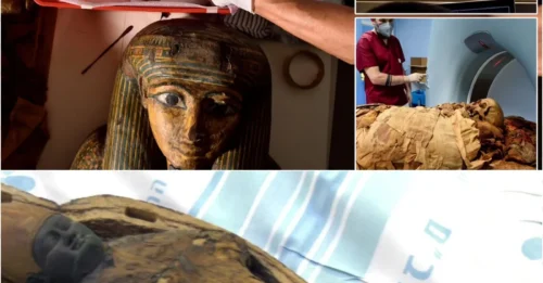Scientists Were Stunned When CT Scans Showed These 3,000-Year-Old Egyptian Mummies Aren’t Human!
