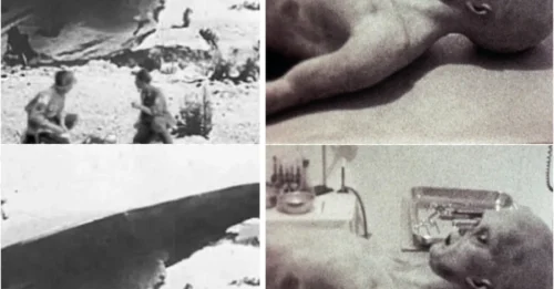Unusual Video of US Military Transporting Roswell Alien Leaked