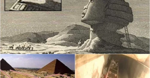 Relentless Denial: Archaeologists Forbidden to Reveal the Truth About the Mysterious Underground Chambers of the Sphinx