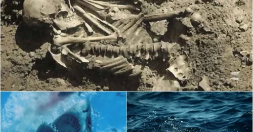 Death by Shark 3,000 Years Ago: Shocking Discovery in an Ancient Japanese Grave!