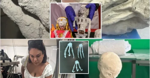 100% Real – Researchers Confirm the Identity of the Mysterious Creature Believed to Be an 'Alien' in Peru!