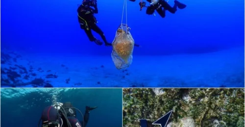 Centuries-Old Roman Shipwreck Yields Priceless Treasures in Shocking Find!